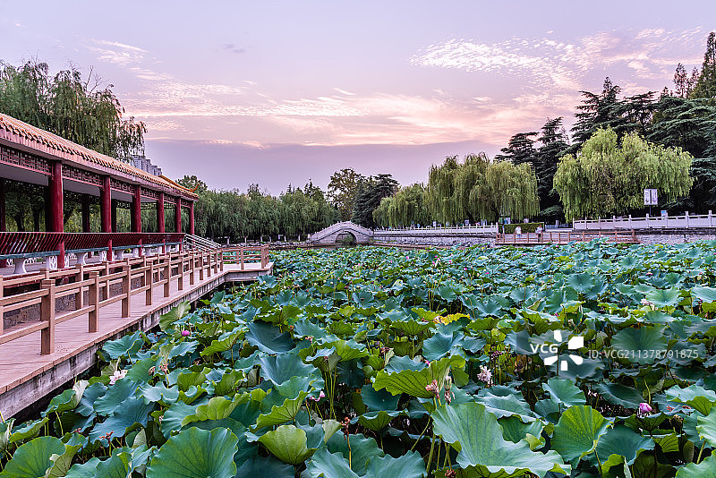中国安徽宿州雪枫公园的荷花池游廊图片素材