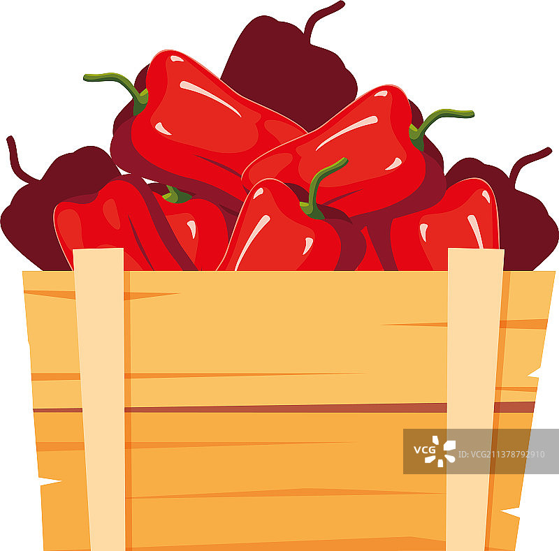 新鲜蔬菜辣椒木篮图片素材