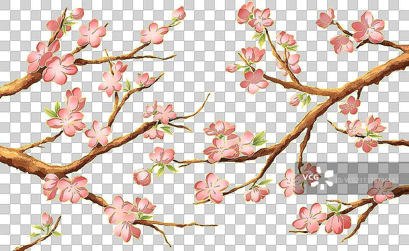 桃花插画图片素材