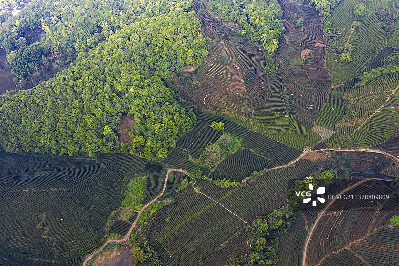 杭州西湖区龙坞镇茶园航拍图片素材