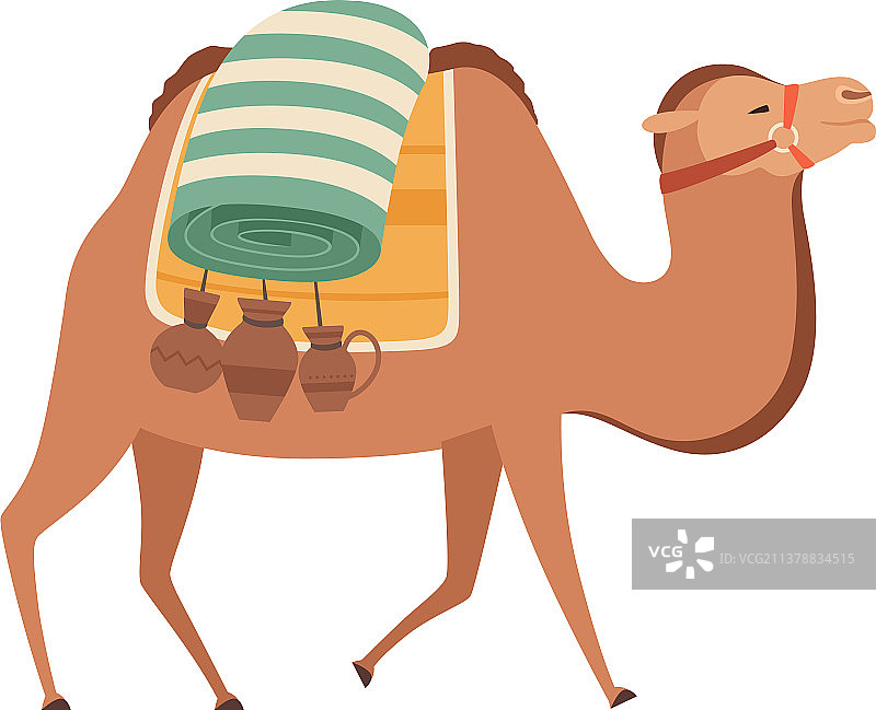 双峰骆驼在沙漠中驮物行走图片素材