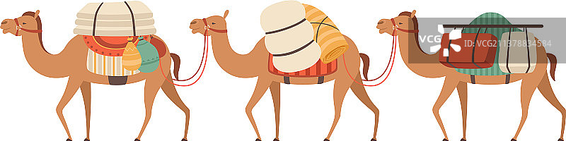 沙漠中的骆驼商队图片素材