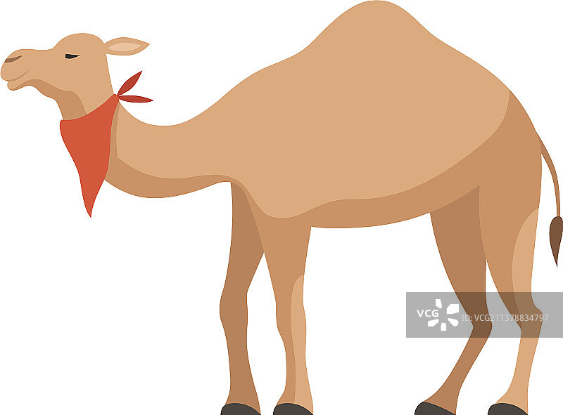 红色沙漠单峰骆驼图片素材