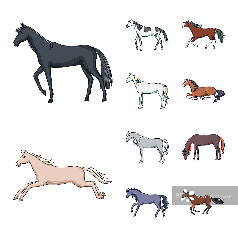 动物与种马标志设计图片素材