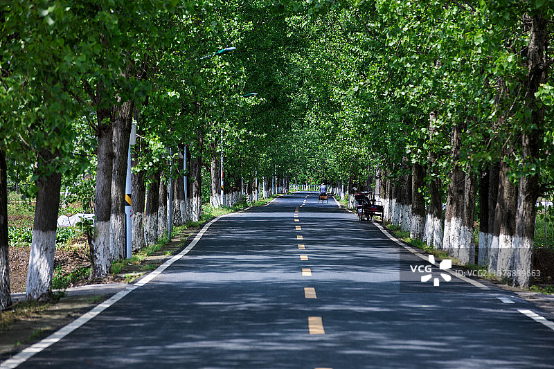 乡村公路图片素材