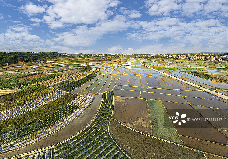 田园春曲图片素材