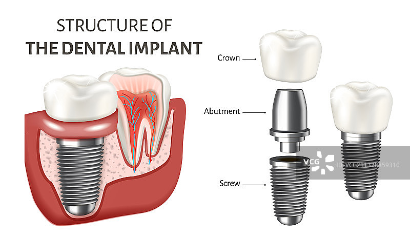 展示结构的教育海报图片素材