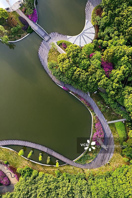 阳光明媚的黄山湖公园图片素材