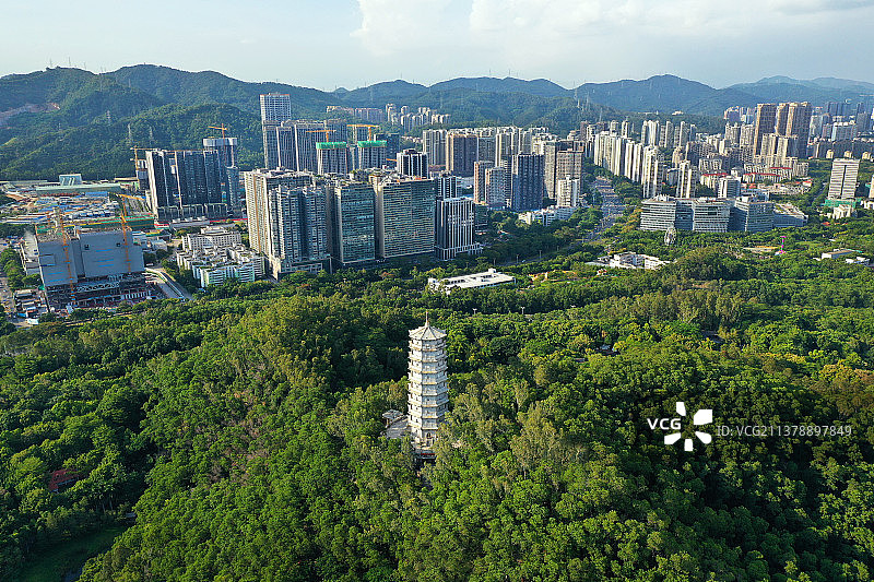 广东省深圳市福田区深圳国际园林花卉博览园航拍图片素材