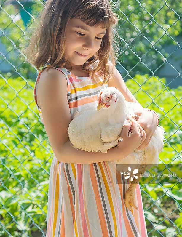 农场里的孩子和一只鸡图片素材
