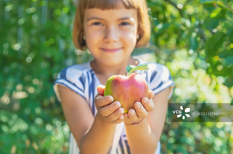 花园里拿着苹果的孩子（选择性聚焦）图片素材