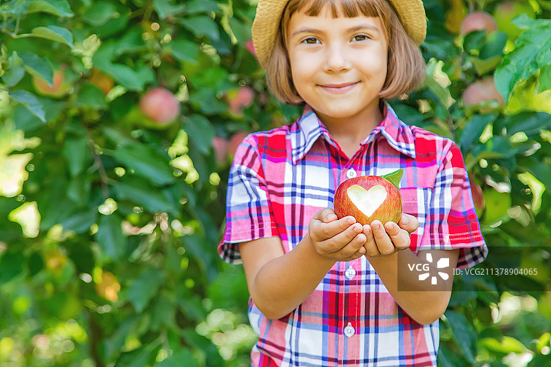 花园里采摘苹果的儿童图片素材