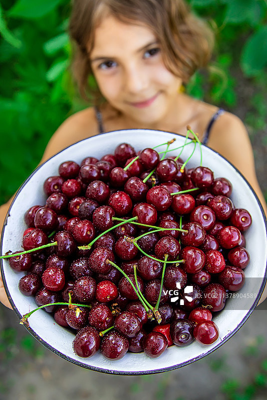 孩子在花园里吃樱桃，选择性聚焦图片素材