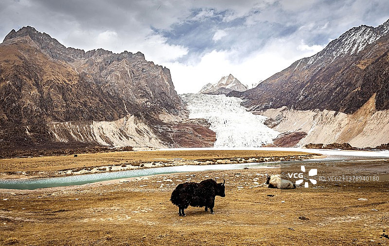 布加雪山冰川图片素材
