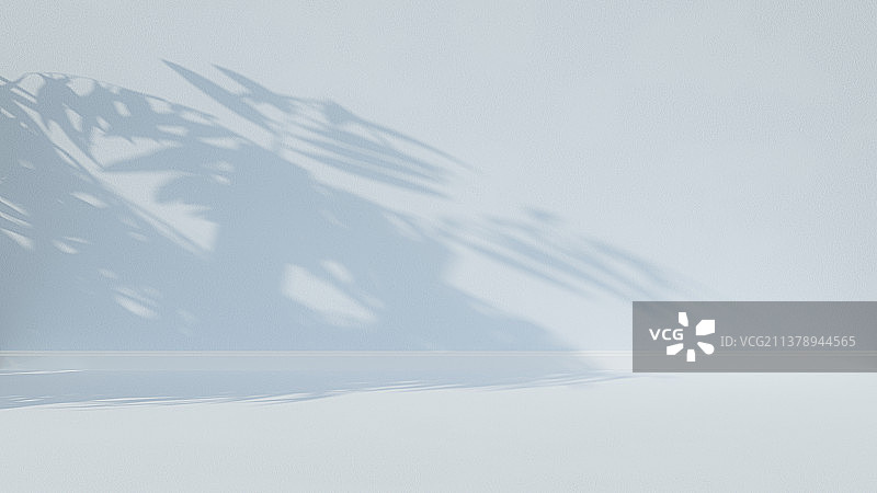 阳光照射下的树影图片素材