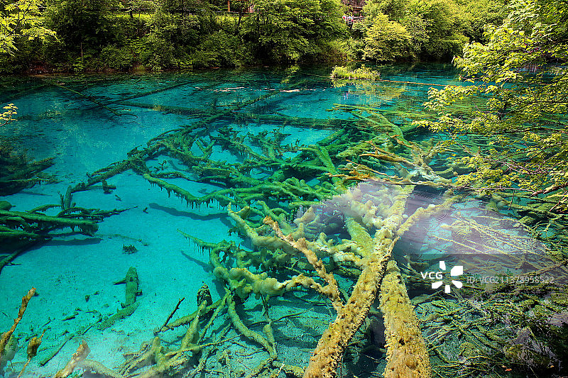 九寨沟五花海图片素材