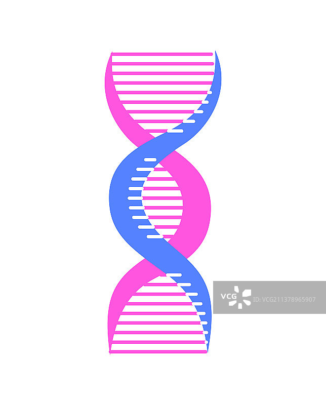 白色背景上分离的抽象DNA链符号图片素材