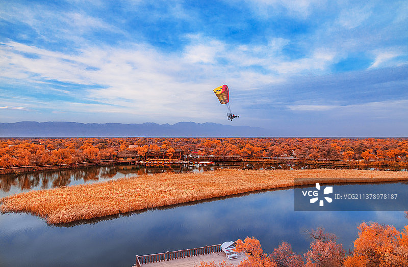 那一抹金黄色-巴楚胡杨图片素材