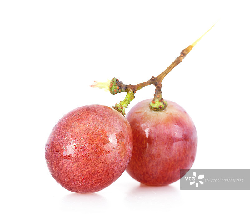 白背景上的葡萄图片素材