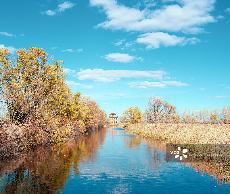 湿地风光图片素材