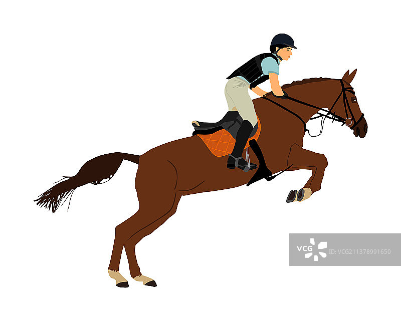 骑师骑马跳跃障碍图片素材