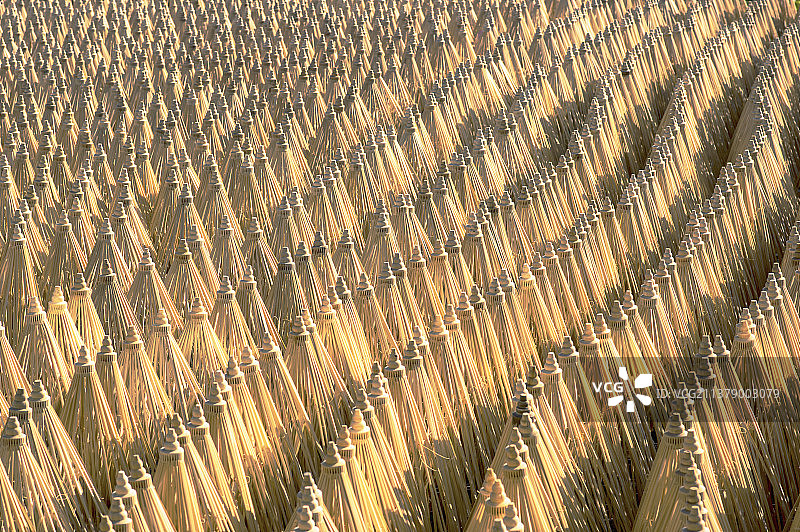 有序的排列图片素材