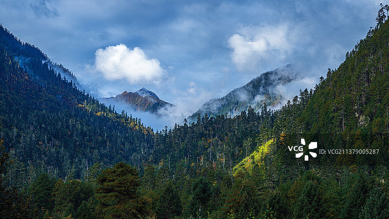 西藏林芝米林南伊沟风光图片素材