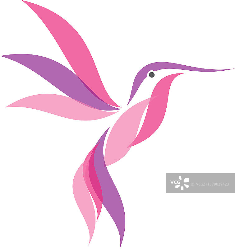 彩色蜂鸟现代扁平风格图标图片素材