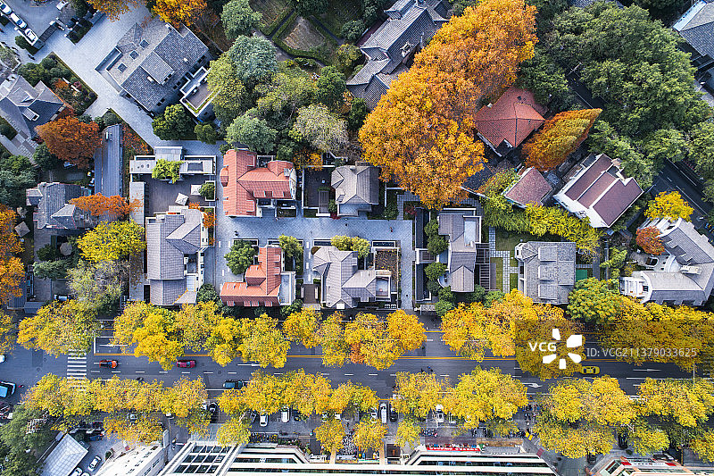 南京颐和路秋天航拍图片素材