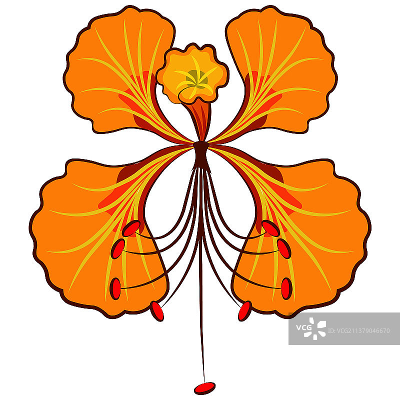 异域黄色花朵图片素材