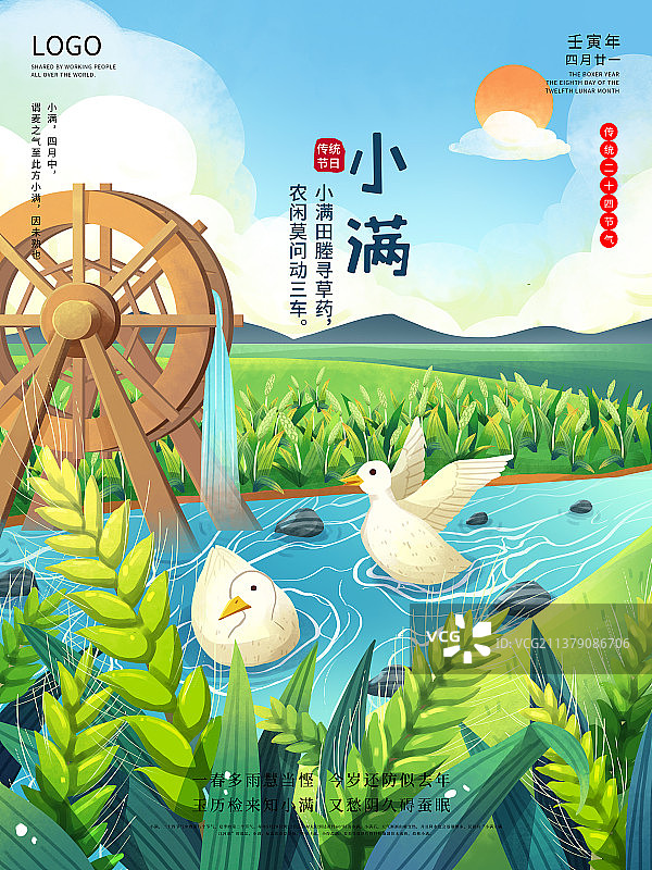 手绘小满芒种节气稻田小麦麦穗农耕鸭子水车插画节日海报图片素材