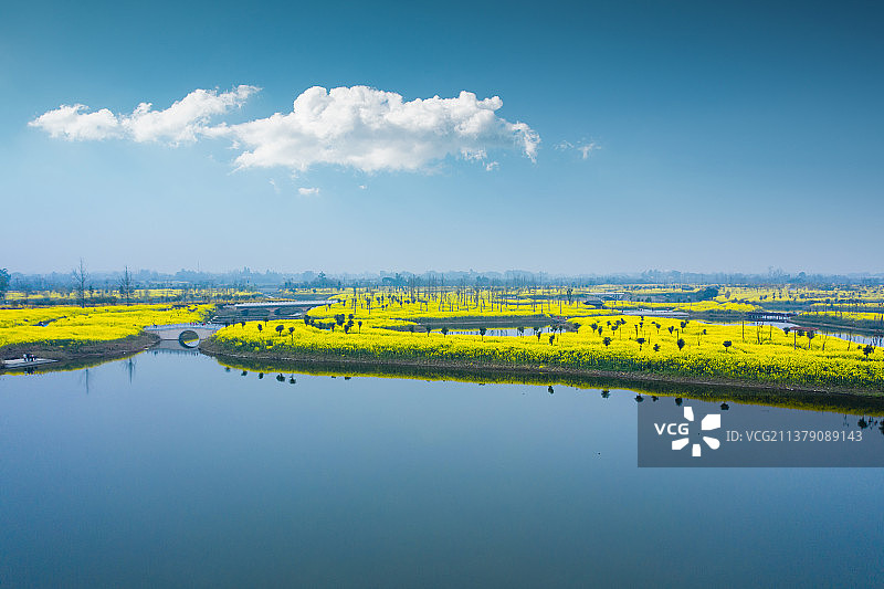 航拍油菜花种植区图片素材
