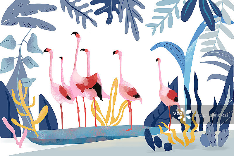丛林火烈鸟图片素材