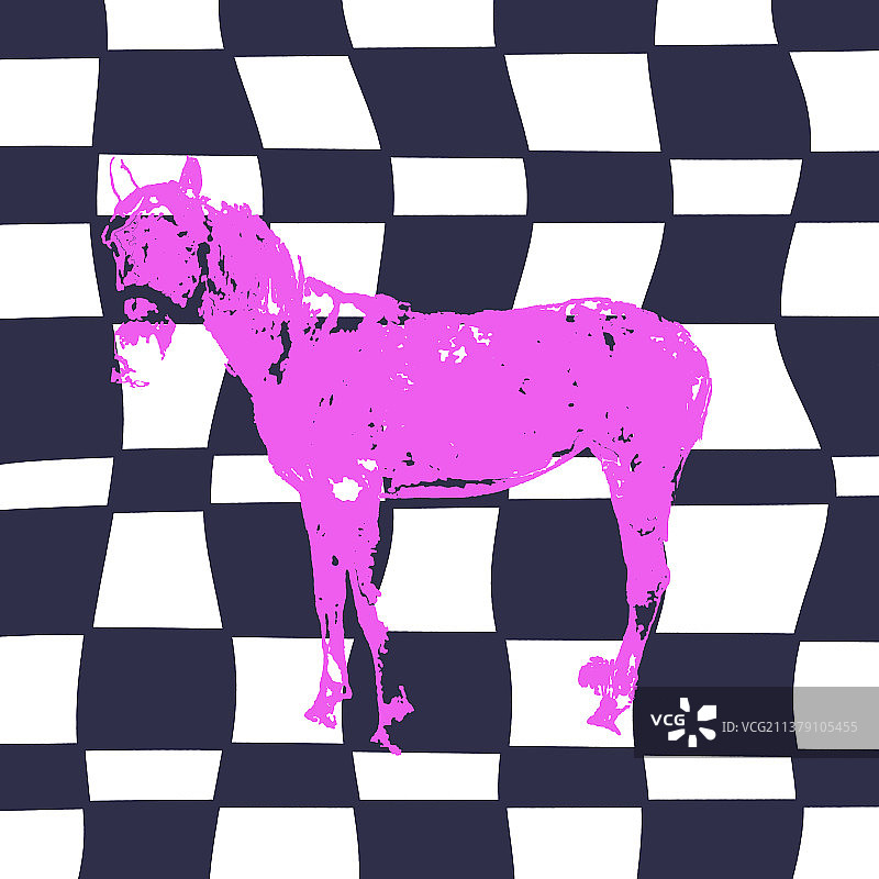 格子与马图片素材