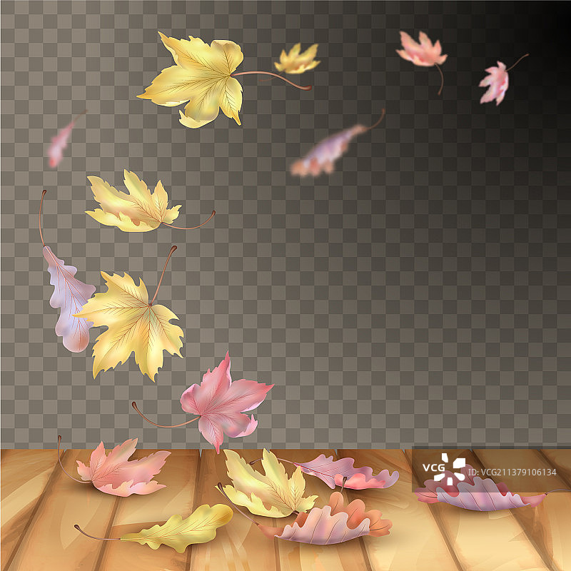 落叶图片素材