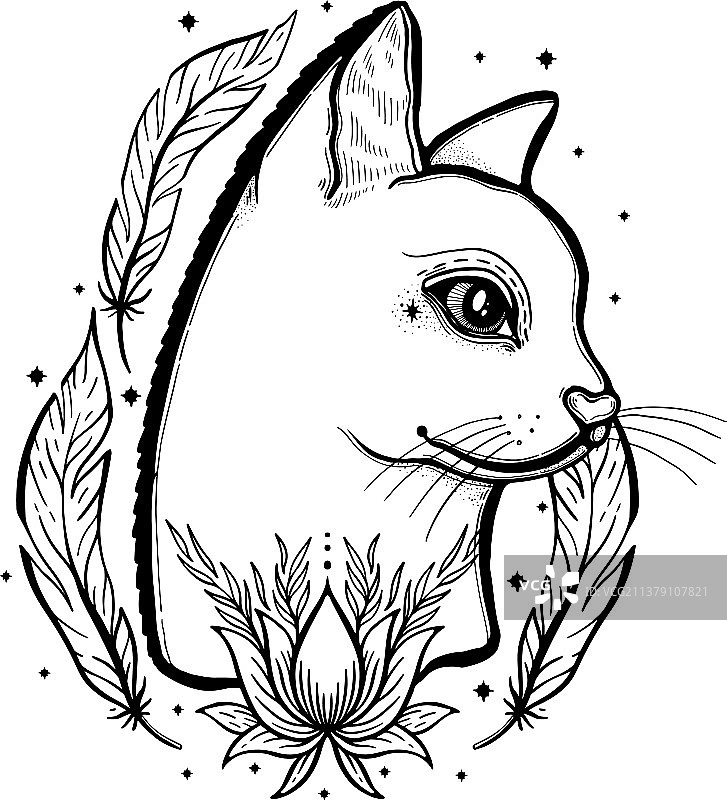 速写图：猫与神秘学手势图片素材