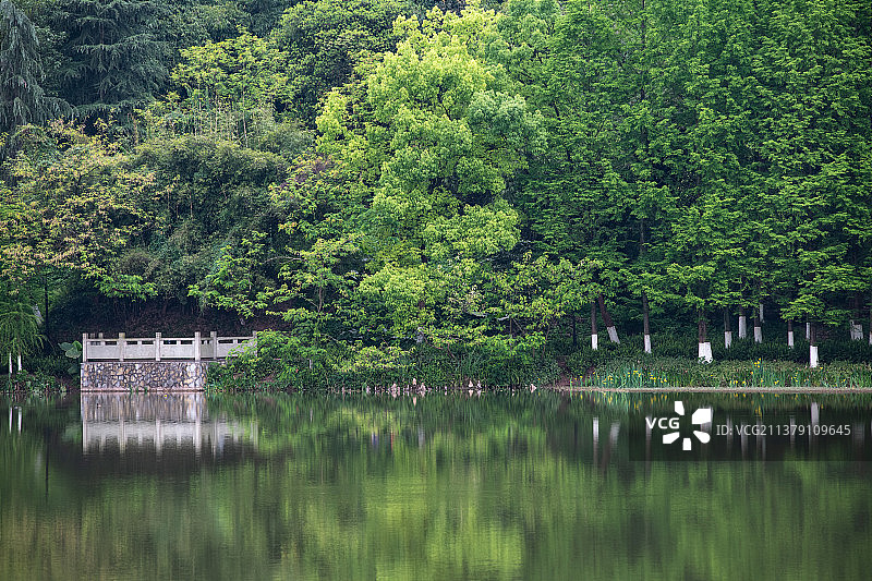重庆照母山湖畔春色图片素材