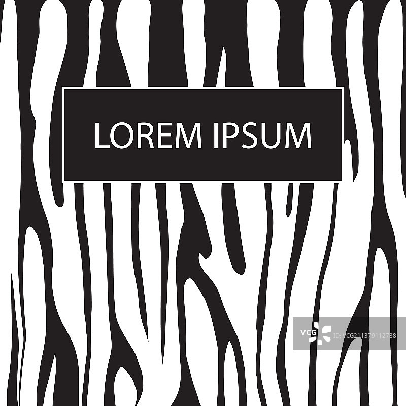 封面非洲斑马纹背景图片素材