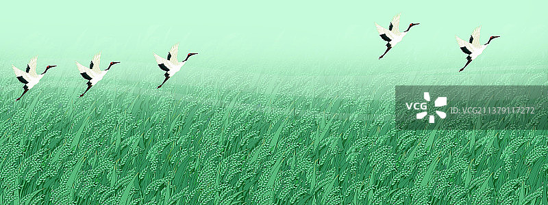 小满节气插画图片素材