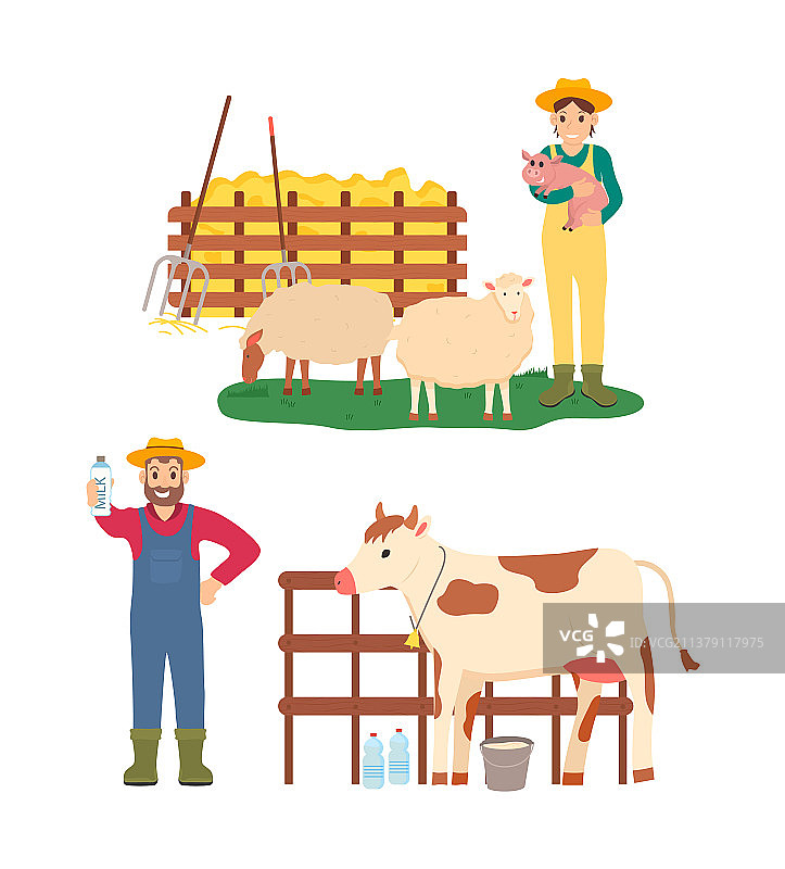 务农的人们：男人和女人与猪和牛图片素材
