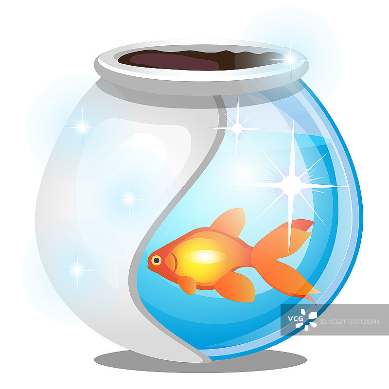 圆形玻璃鱼缸中的金鱼图片素材