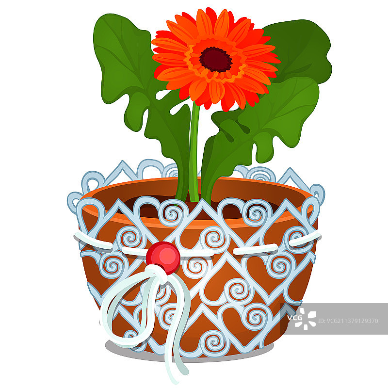 药用橙色金盏花图片素材