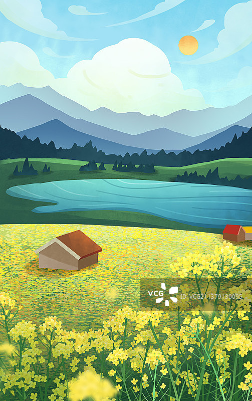 手绘油菜花花田小清新立春春分风景插画图片素材