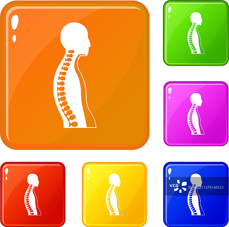 人体脊柱彩色图标合集图片素材