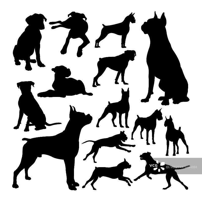 拳师犬动物剪影图片素材