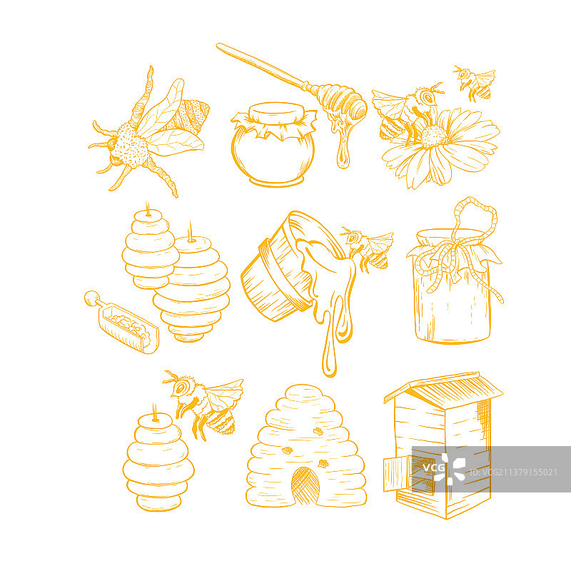 蜂蜜素描合集：蜜蜂、蜂巢、蜂蜜罐、蜂蜜桶图片素材