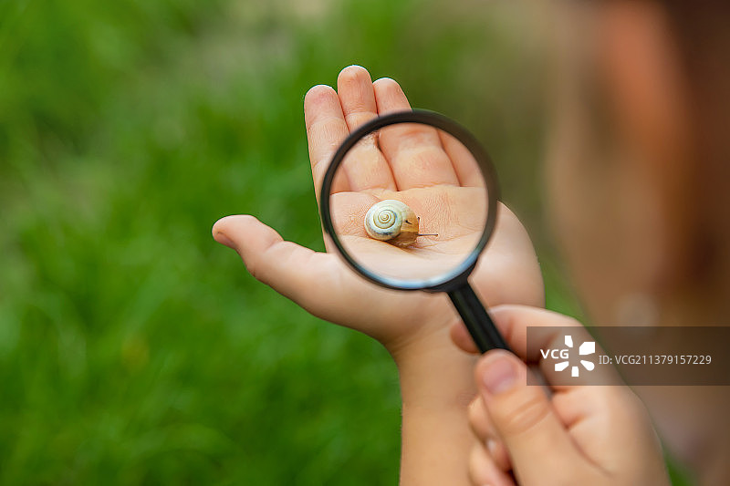 孩子用放大镜观察蜗牛图片素材