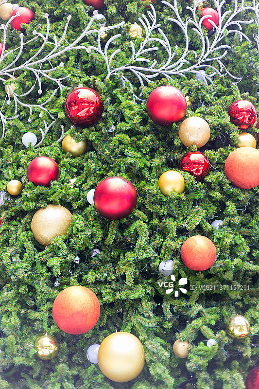 圣诞树特写图片素材