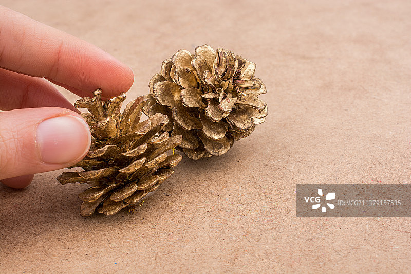 棕色背景上手中的松果图片素材