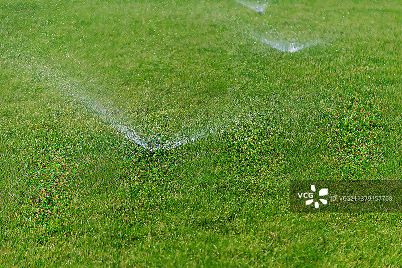 用水浇灌草坪，选择性聚焦图片素材
